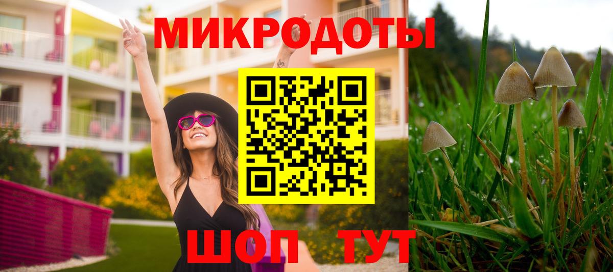 Псилоцибиновые грибы ЛСД  Вход с VPN  где купить наркоту  Десногорск 